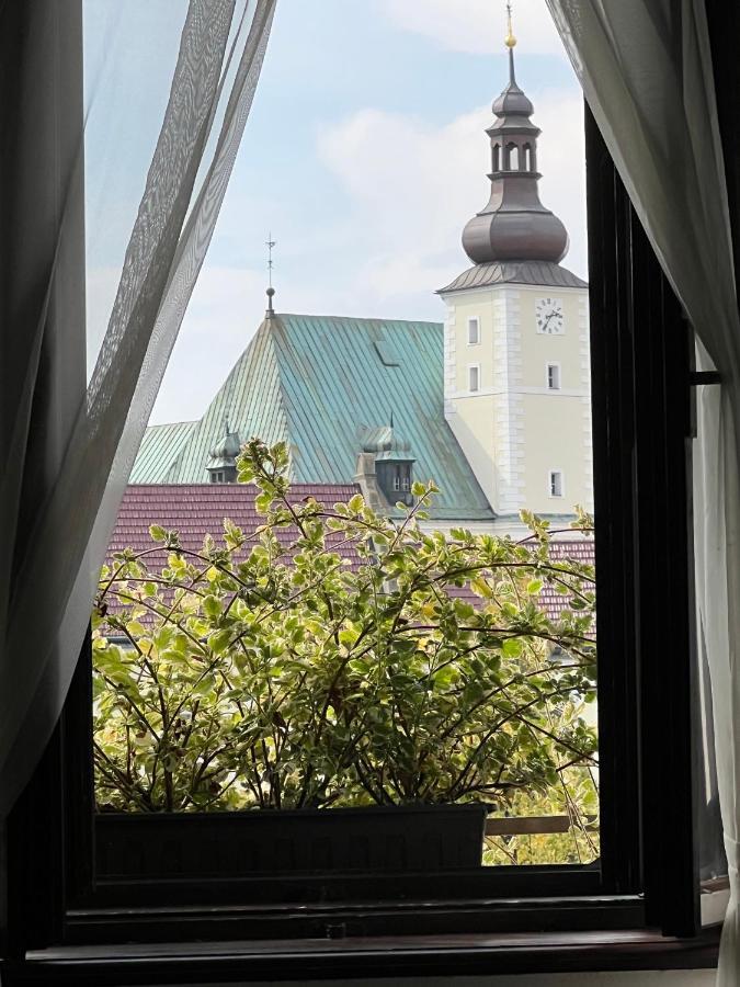 Hotel Maxim Frydek-Mistek Bagian luar foto